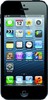 Apple iPhone 5 16GB - Новосибирск